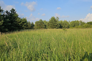 Działka na sprzedaż 7778m2 policki Dobra (Szczecińska) Kościno - zdjęcie 2