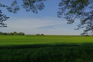 Działka na sprzedaż stargardzki Kobylanka Jęczydół - zdjęcie 2