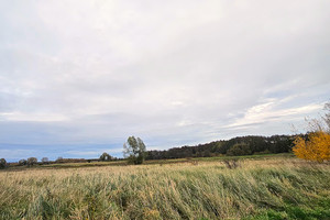 Działka na sprzedaż 13800m2 łobeski Węgorzyno Mielno - zdjęcie 3