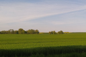 Działka na sprzedaż 1743m2 choszczeński Recz - zdjęcie 1