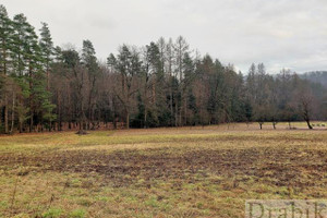 Działka na sprzedaż 1204m2 wadowicki Lanckorona Izdebnik - zdjęcie 3