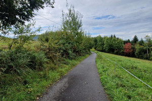 Działka na sprzedaż 19800m2 myślenicki Raciechowice Zegartowice - zdjęcie 3