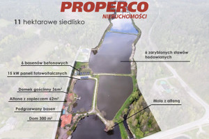 Dom na sprzedaż 360m2 kielecki Daleszyce Komórki - zdjęcie 2