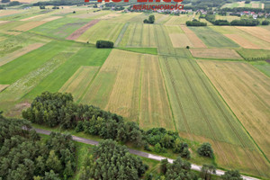 Działka na sprzedaż 9400m2 jędrzejowski Sobków Bizoręda - zdjęcie 1