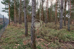 Działka na sprzedaż bydgoski Koronowo Stary Jasiniec - zdjęcie 1