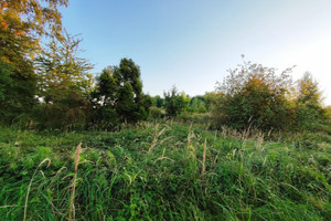 Działka na sprzedaż 5757m2 bieruńsko-lędziński Chełm Śląski Gamrot - zdjęcie 1