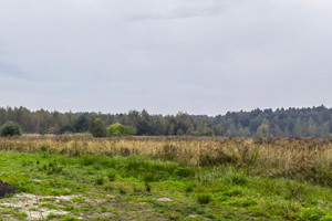 Działka na sprzedaż 3539m2 bieruńsko-lędziński Lędziny Ziemowita - zdjęcie 3