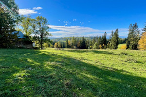 Działka na sprzedaż 5883m2 tatrzański Biały Dunajec Sierockie - zdjęcie 3