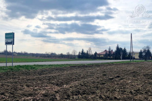 Działka na sprzedaż 3000m2 wrocławski Kąty Wrocławskie Sokolniki - zdjęcie 1