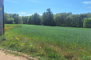 Działka na sprzedaż 10000m2 kościański Krzywiń Żelazno - zdjęcie 3