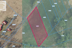 Działka na sprzedaż 7272m2 zawierciański Łazy Chruszczobród Leśna - zdjęcie 2