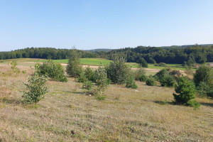 Działka na sprzedaż wejherowski Luzino - zdjęcie 3