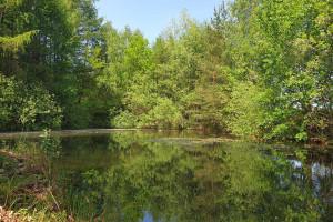 Działka na sprzedaż 14260m2 kartuski Żukowo Przyjaźń - zdjęcie 1