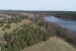 Działka na sprzedaż 7700m2 szczycieński Pasym Elganowo - zdjęcie 3