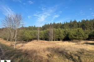 Działka na sprzedaż 14300m2 ełcki Stare Juchy Panistruga - zdjęcie 3