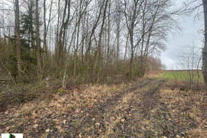 Działka na sprzedaż 3600m2 ełcki Ełk Koziki - zdjęcie 3