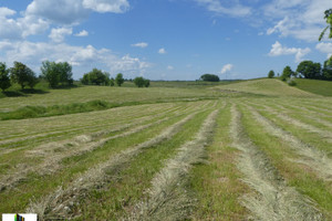 Działka na sprzedaż 1500m2 ełcki Stare Juchy Orzechowo - zdjęcie 3