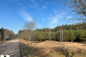 Działka na sprzedaż 14300m2 ełcki Stare Juchy Panistruga - zdjęcie 1