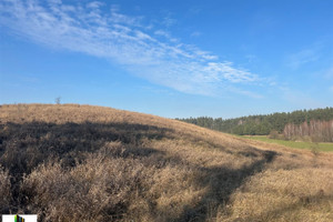 Działka na sprzedaż 4100m2 ełcki Stare Juchy Panistruga - zdjęcie 1