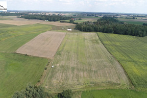 Działka na sprzedaż 3003m2 ełcki Kalinowo Golubie - zdjęcie 1