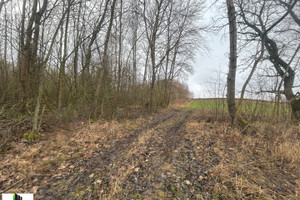 Działka na sprzedaż 3600m2 ełcki Ełk Koziki - zdjęcie 2