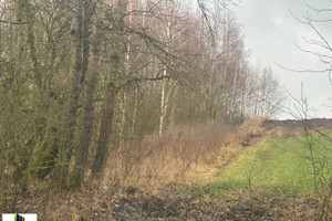 Działka na sprzedaż 3600m2 ełcki Ełk Koziki - zdjęcie 1