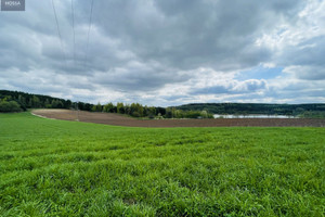 Działka na sprzedaż 1000m2 rypiński Rogowo Ruda - zdjęcie 3