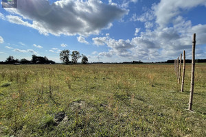 Działka na sprzedaż 2001m2 działdowski Działdowo Księży Dwór - zdjęcie 3