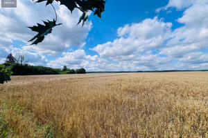 Działka na sprzedaż 15898m2 nidzicki Nidzica Radomin - zdjęcie 1