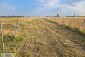 Działka na sprzedaż 1960m2 zgierski Ozorków Skotniki - zdjęcie 2