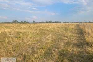 Działka na sprzedaż 1960m2 zgierski Ozorków Skotniki - zdjęcie 1