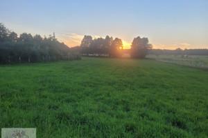 Działka na sprzedaż zgierski Zgierz Bądków - zdjęcie 1