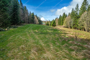 Działka na sprzedaż 3900m2 suski Sucha Beskidzka - zdjęcie 3