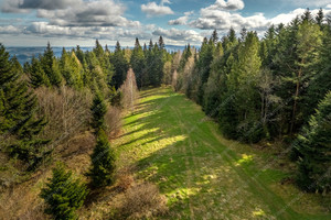 Działka na sprzedaż 3900m2 suski Sucha Beskidzka - zdjęcie 2