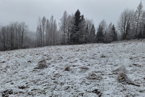 Działka na sprzedaż 3165m2 suski Zawoja - zdjęcie 2