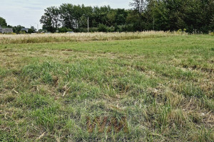 Działka na sprzedaż 830m2 grójecki Grójec - zdjęcie 3