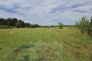 Działka na sprzedaż 3000m2 grójecki Grójec - zdjęcie 1