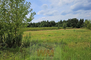 Działka na sprzedaż 3000m2 grójecki Grójec - zdjęcie 3