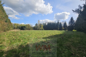 Działka na sprzedaż 29501m2 grójecki Pniewy - zdjęcie 1