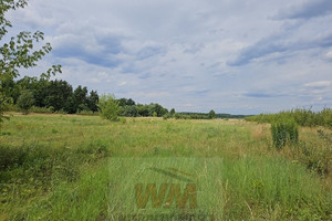 Działka na sprzedaż 3000m2 grójecki Grójec - zdjęcie 2