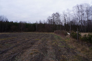 Działka na sprzedaż 3800m2 brzeski Borzęcin - zdjęcie 1