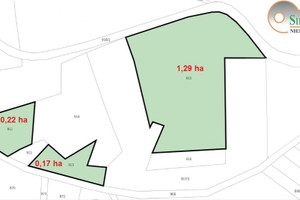 Działka na sprzedaż 16800m2 opatowski Sadowie Czerwona Góra - zdjęcie 2