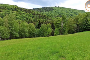 Działka na sprzedaż 85413m2 suski Stryszawa Lachowice - zdjęcie 3