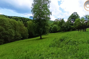 Działka na sprzedaż 85413m2 suski Stryszawa Lachowice - zdjęcie 2