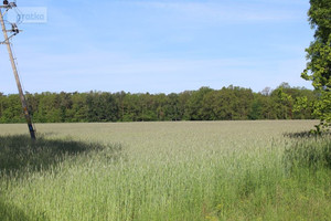 Działka na sprzedaż 12895m2 milicki Krośnice - zdjęcie 1