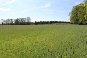 Działka na sprzedaż 16654m2 milicki Krośnice - zdjęcie 1