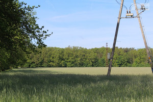 Działka na sprzedaż 12895m2 milicki Krośnice - zdjęcie 2