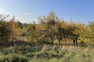 Działka na sprzedaż 5865m2 gdański Pruszcz Gdański Juszkowo Raduńska - zdjęcie 2