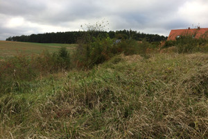 Działka na sprzedaż 813m2 gdański Pruszcz Gdański Juszkowo Dębowa - zdjęcie 3