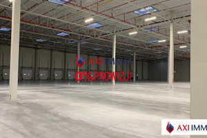 Komercyjne do wynajęcia 9800m2 pruszkowski Nadarzyn - zdjęcie 1